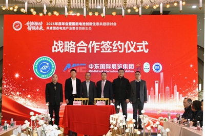 上海前沿新能源电源技术研究院2025年度年会暨固态电池创新生态共建研讨会成功召开(图4)