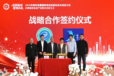 上海前沿新能源电源技术研究院2025年度年会暨固态电池创新生态共建研讨会成功召开(图5)