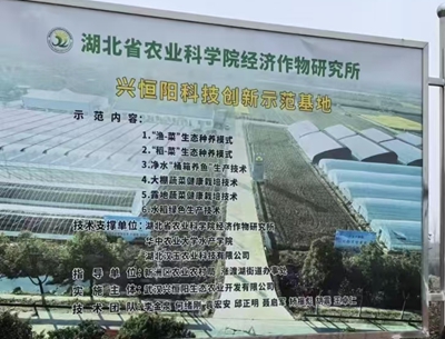   跨区域共探产业升级新路径 功能性农业与食药同源发展座谈会在鄂举行(图1)