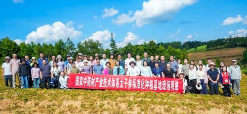 国家中药材产业技术体系太子参单品种攻关工作会议在贵州施秉举办(图5)
